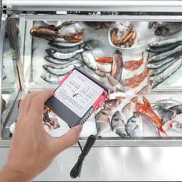Digital Temperature Controller Switch and Fermentation Control